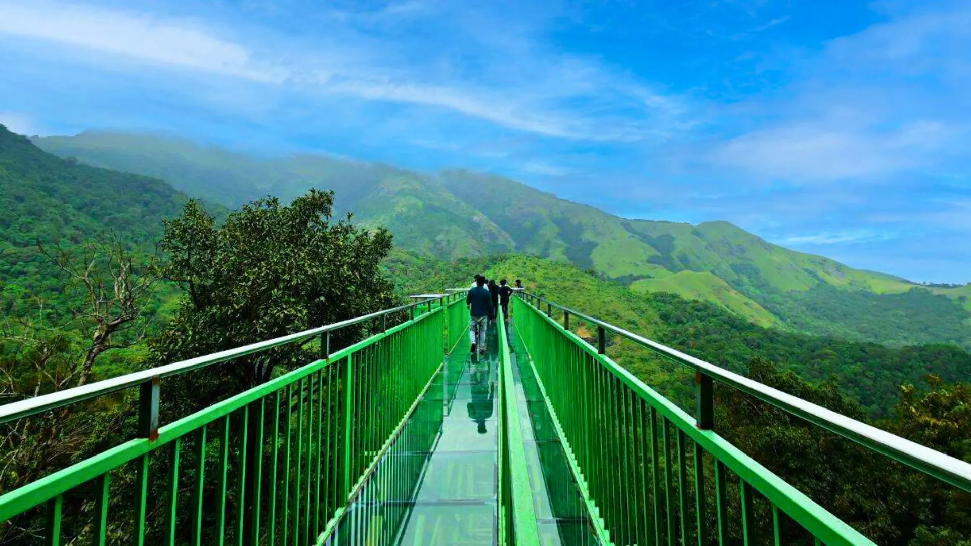 Wayanad Day Tours